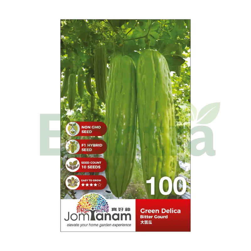 100 BITTER GOURD